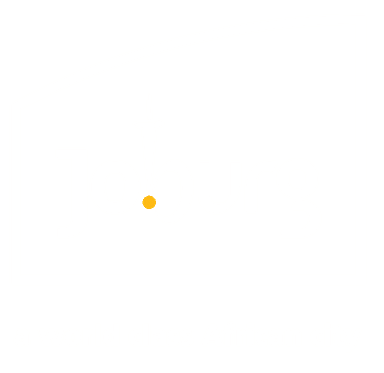 City of Johannesburg